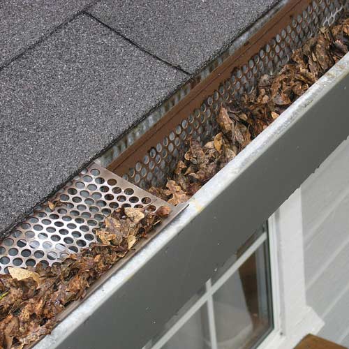 gallery image 1040.jpg