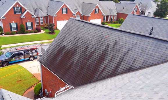 Roof Cleaning image